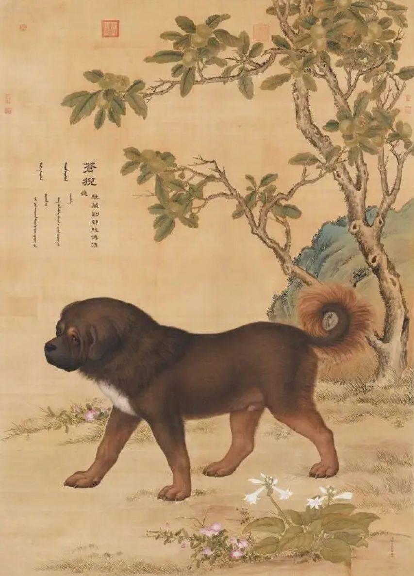 原创            多亏了这个外国人，留下乾隆的真实相貌，和电视上看到的不一样