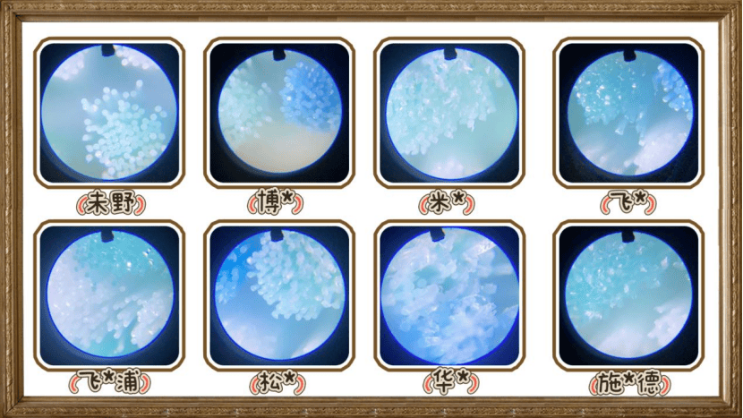 好用的剃须刀怎么选？一文测评揭秘8款专业品牌